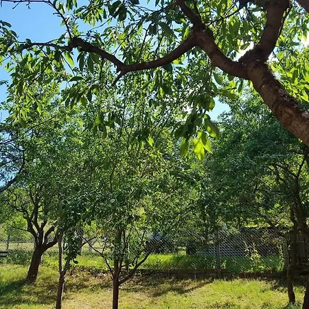 With Natural Garden Holiday home