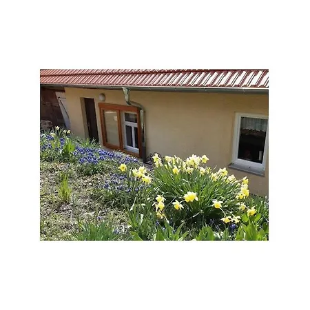 With Natural Garden *