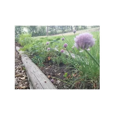 With Natural Garden Holiday home